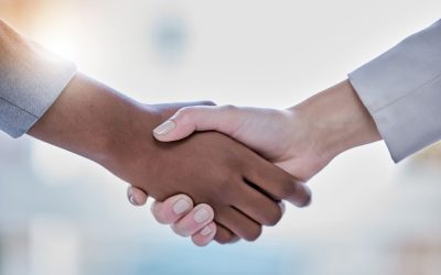 Navigating Saint Lucia’s Brokerage Landscape: A Step-by-Step Guide to Establishing Your Business